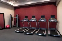 Hilton Garden Inn Columbia Downtown - Gym