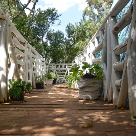 Olkeri chalete