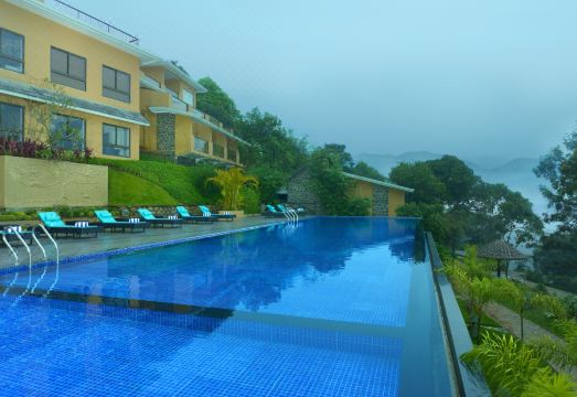 포이트리 덕카디