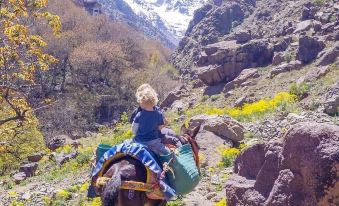 Gite Ghazal - Atlas Mountains Hotel