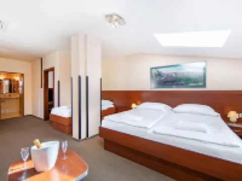 Hotel Palace Hotels in Plzen