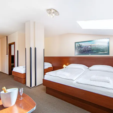 Hotel Palace Hotels in Pilsen