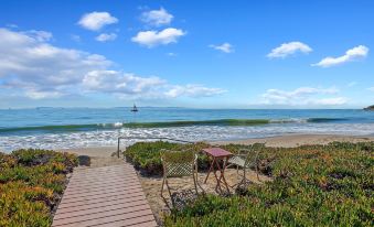 Garden Cottage - Miramar Beach with Shared Deck