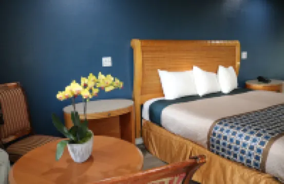 Valli Hi Motel Hoteles en San Ysidro