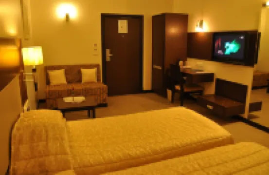 Hotel Silver Palace - 3-Star