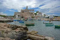 La Rosa dei Trulli B&B