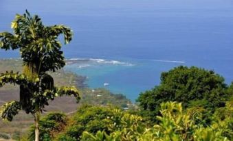 Ka'Awa Loa Plantation