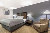 Quality Inn Gainesville - Pools