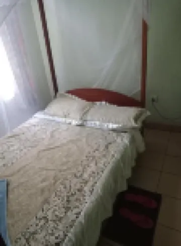 Green Ficus Place Отели в г. 