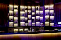 法裏達巴德麗笙酒店 - 酒吧