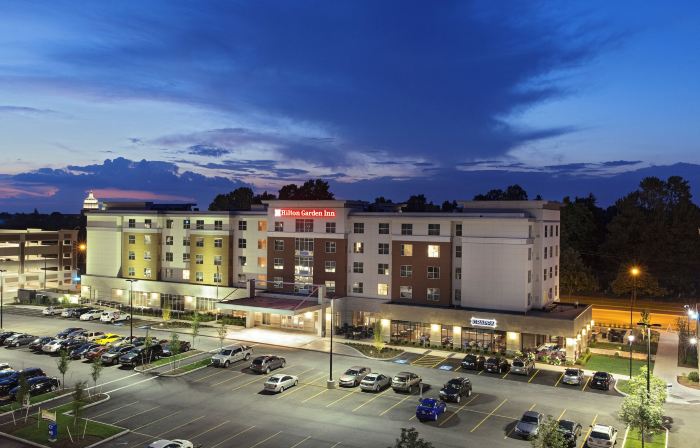 Hilton Garden Inn Rochester/University and Medical Center