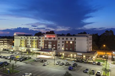 Hilton Garden Inn Rochester/University and Medical Center Các khách sạn ở Rochester