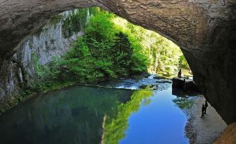 Le Champ des Lys