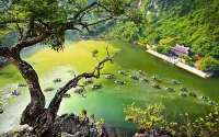 Ninh Binh Greenland Homestay - Pet friendly