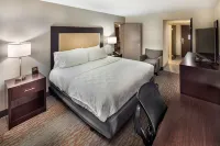 Holiday Inn Atlanta-Northlake