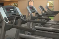 Kempinski Hotel & Resort Sariya Yanbu - Kuntosalit