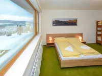 Penzion Andula Hotels in Strážné