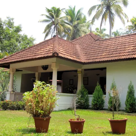 Abad Whispering Palms