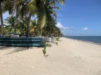 All Seasons Belize - Wifi