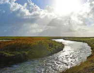 Ferienwohnung in Oevenum Auf Foehr