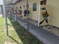Pousada Sossego Ronaldo e Clarinha Hotels in Santarem