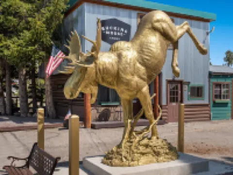 The Bucking Moose Hotels in West Yellowstone
