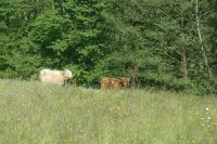Charmant Chalet Individuel au Pied des Montagnes en Centre Alsace