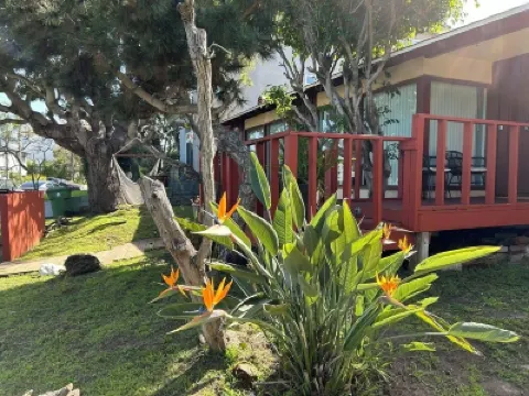 Cozy Escape - Beach Community of Playa Del Rey Hotels near Playa Del Rey Beach