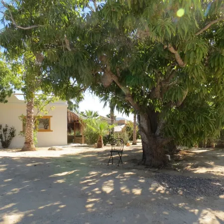 Villa Gardenia - Oceanfront House Mango