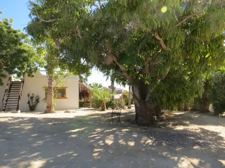 Villa Gardenia - Oceanfront House Mango Отели рядом с достопримечательностью «La Sonrisa de la Muerte»