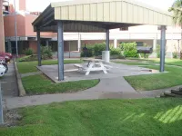 Beautiful Beach & Pool Front Condo- Remodeled in March 2024