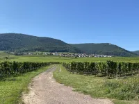 Vacation home Pfälzer Wald Weyher - Southern Wine Route - with garden