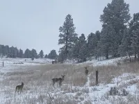 Peaceful Cabin with Beautiful Mountain Views