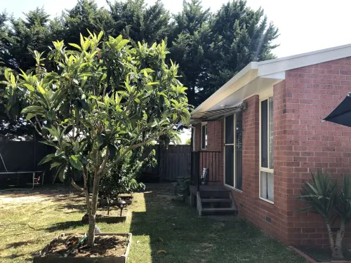 Charlie sweet home @ Mornington Peninsula Hotels in Mount Martha