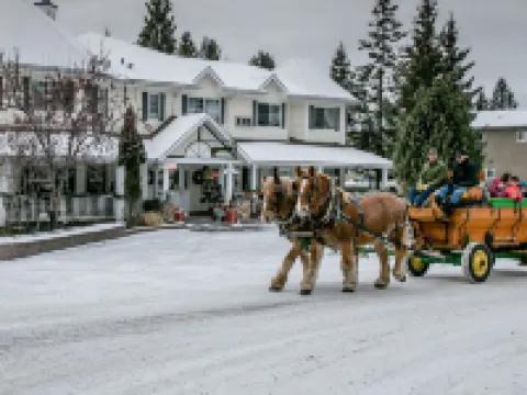 Inn on Canyon Hotels in Radium Hot Springs