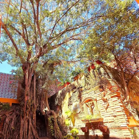 Casa del Arbol