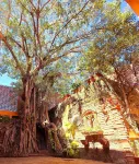 Casa del Arbol Hotels in 