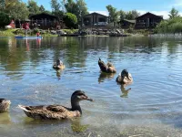 Lakeside 18 Hotels in Lancaster District