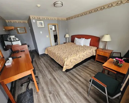 Forest Plaza Motel Hotels in Mount Forest