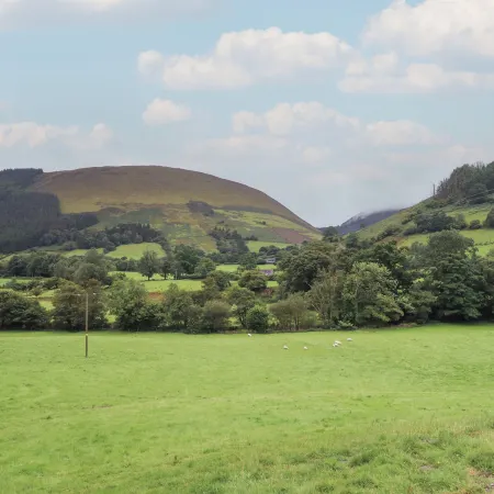 Caban Tirion Отели в г. Макинлет