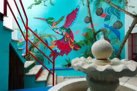 Linda Vecindad Playa del Carmen