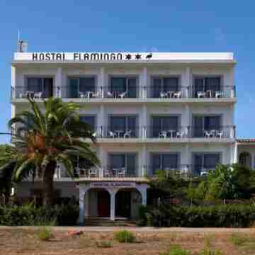 Hostal Flamingo by Nest Hotel Exterior