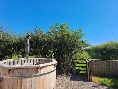 Bogrie Cottage Отели в г. Ньюкаслтон