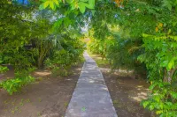 Picard Beach Cottages Hotels in 