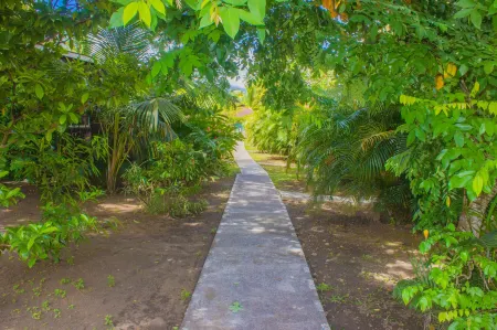 Picard Beach Cottages Отели в г. Paix Bouche