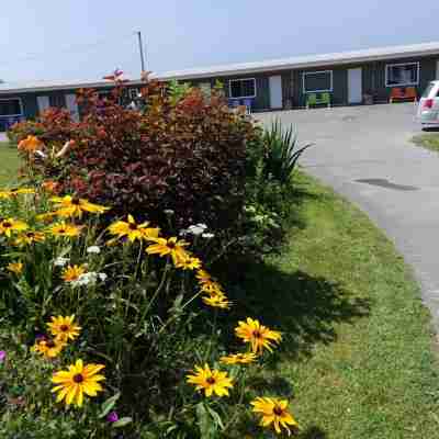 Clifty Cove Motel Hotel Exterior
