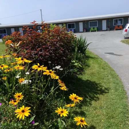 Clifty Cove Motel
