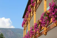 Gardenhotel Premstaller - Mountain view