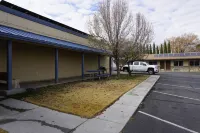 Bristlecone Motel - Motels