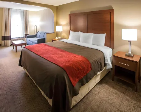 Comfort Inn Biltmore West